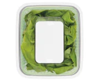 OXO 4L Good Grips GreenSaver Produce Keeper