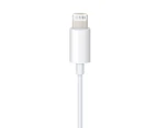 Apple Lightning to 3.5-mm Audio Cable (1.2m) - White