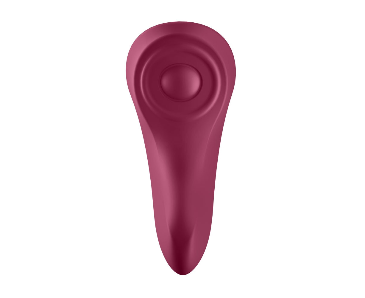 Satisfyer Sexy Secret Wearable Panty Vibrator