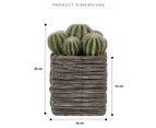 Cooper & Co. 25cm Cactus Artificial Decorative Plant In Woven Wooden Pot Set