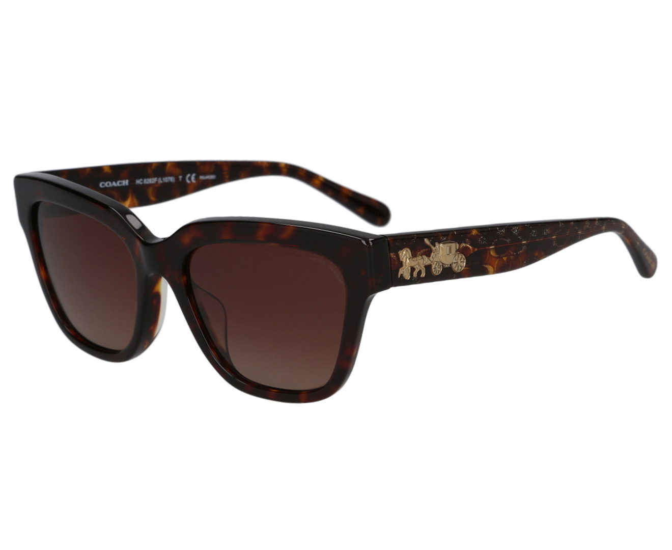 Coach Square Cat Eye 5120t5 Sunglasses Dark Tortoise Brown Nz