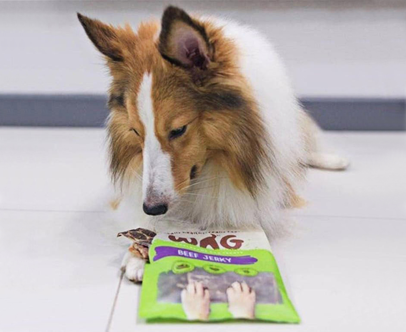 is beef jerky suitable for a rough collie