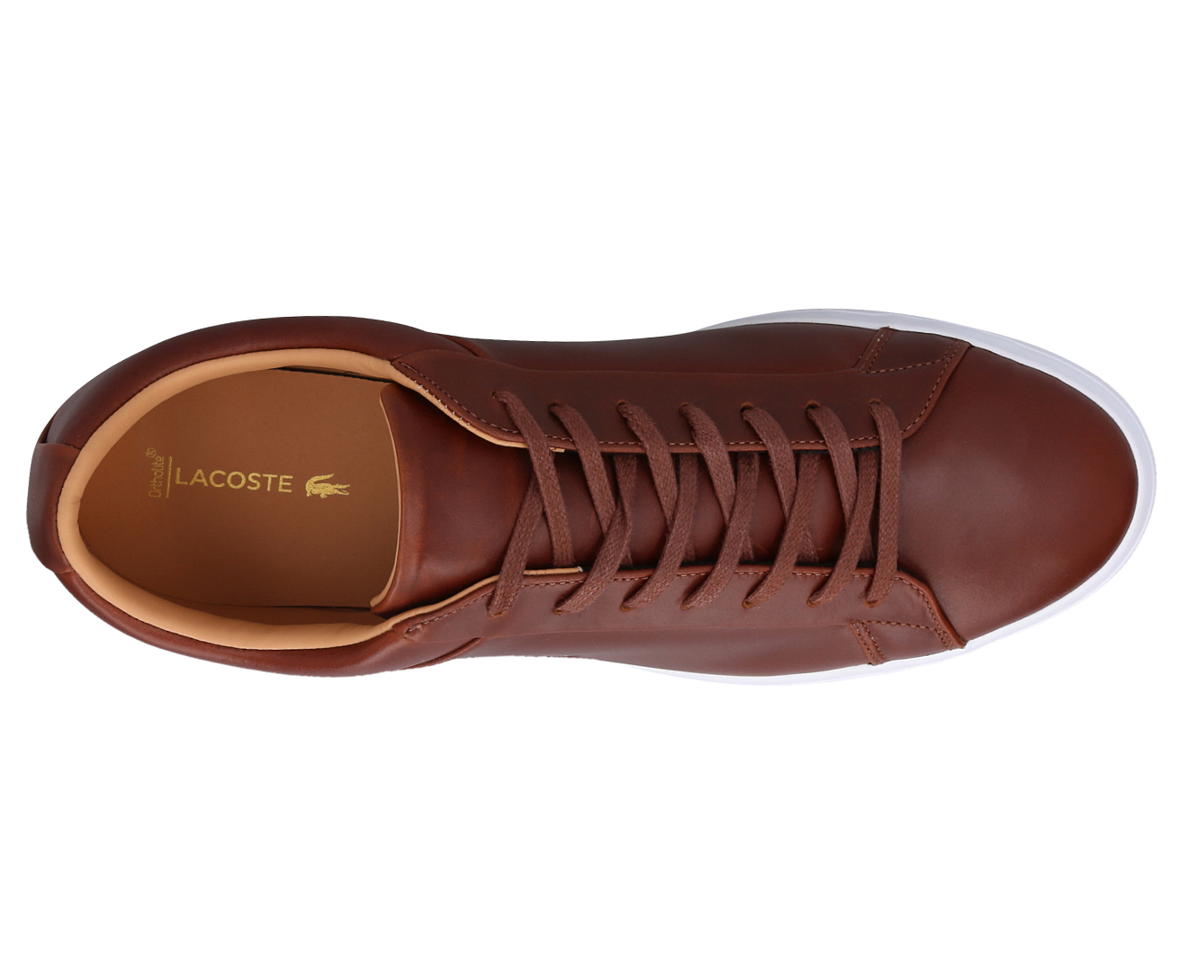 Lacoste on sale lerond brown