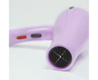 TODO 2000W Ionic Ceramic Anti Frizz Hair Dryer Digital Temperature Lcd Lavender