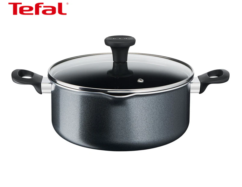 Tefal 24cm Family Day Non-Stick Stewpot