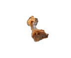 Clod Bone Puppy Size Natural Tasty Dog Treat Chew Pork Dried Meat Protein Fat