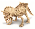4M Dig a Dinosaur Skeleton Triceratops Activity Set