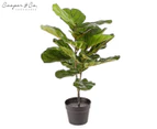 Cooper & Co. 75cm Fiddle Leaf Artificial Potted Plant