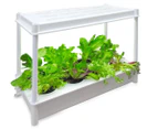 Greenlife Self-Watering Salad Grower Planter w/ LED Lights and 8 Pots - White