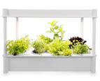 Greenlife Self-Watering Salad Grower Planter w/ LED Lights and 8 Pots - White