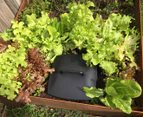 Greenlife Worm Box In-Ground Mini Composter