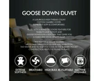 DreamZ All Size Bamboo/Duck Down Goose/Microfibre Quilt Doona Duvet All Season
