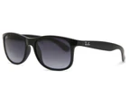Ray-Ban RB4202 Andy 601/8G Men Sunglasses