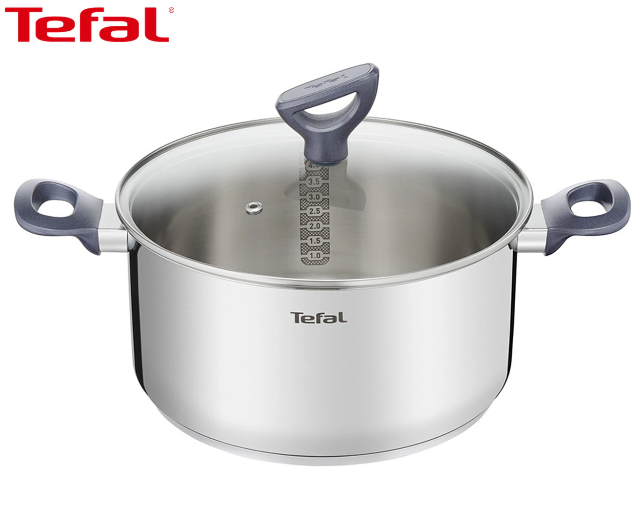 Tefal 24cm/5L Daily Cook Induction Stainless Steel Stewpot w/ Lid - Silver