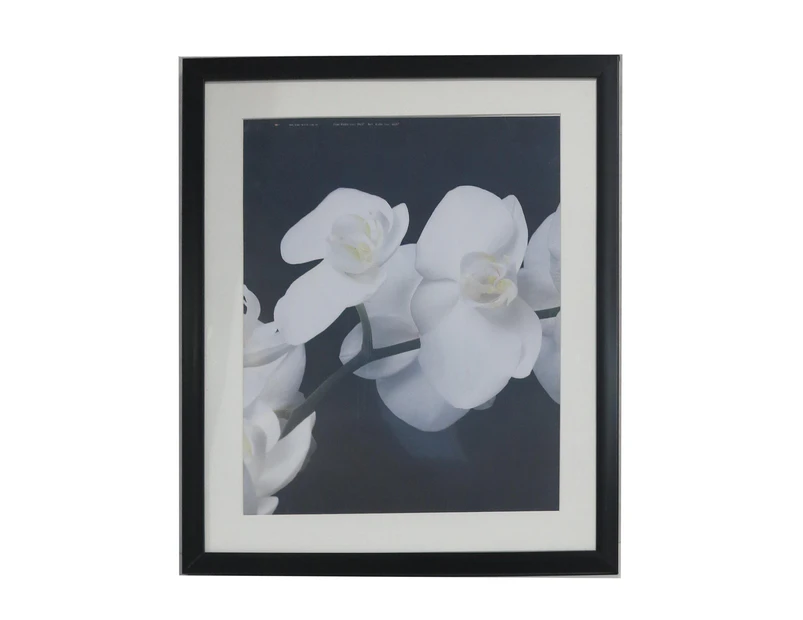 For 20x24" Photo -Picture Frame Black With Mat Border