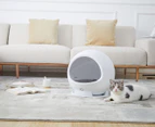 Petkit Cozy 2nd Gen Smart Temperature Adjust Pet House - White