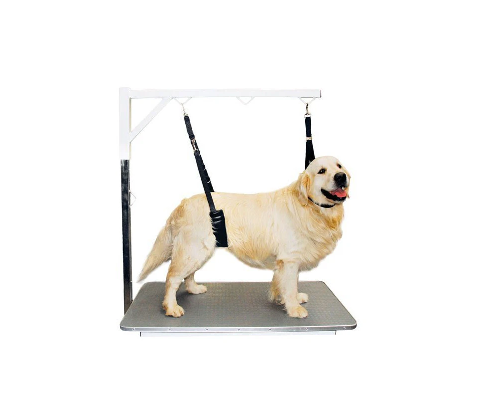 Show Tech Comfort Belly Strap for Small Dog