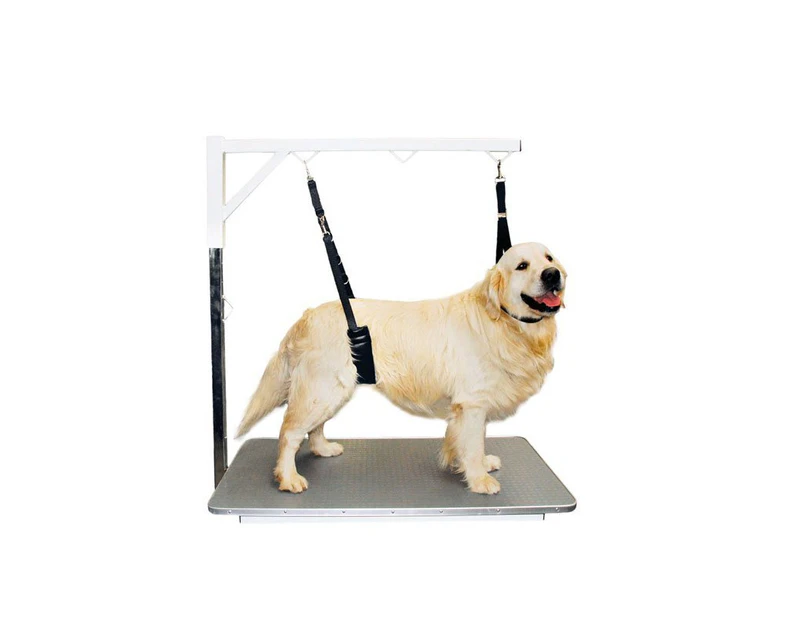 Show Tech Comfort Belly Strap for Small Dog