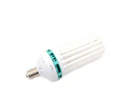 Blue Compact Fluorescent Lamp (CFL) Lamp - 250W | 6500K | 15750LM| Grow & Clone