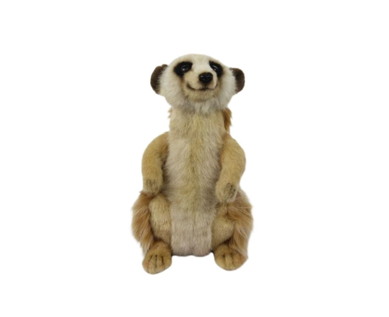 Meerkat Sitting Soft Toy .au