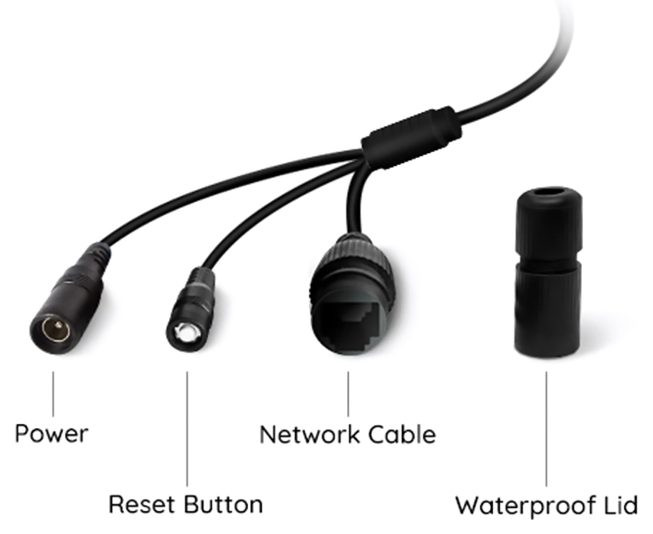 reolink ethernet