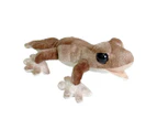 Gecko Lizard Rainforest Brown - C A Australia