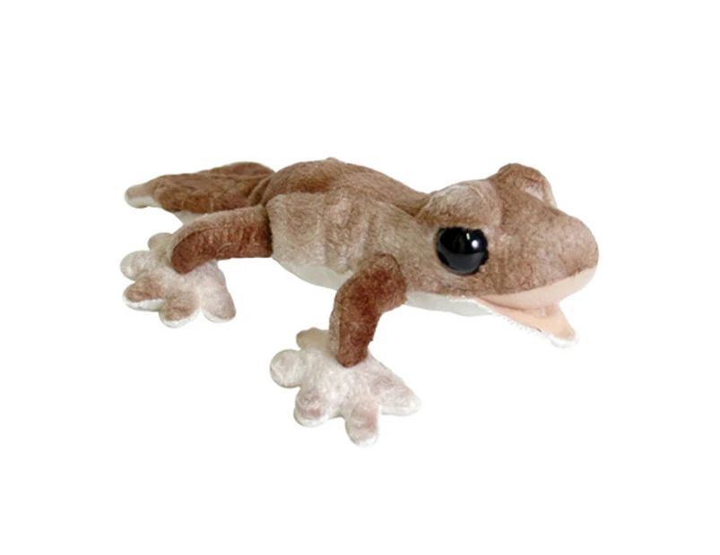 Gecko Lizard Rainforest Brown - C A Australia