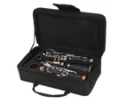 Axiom Beginners Clarinet Outfit - School Band Clarinet