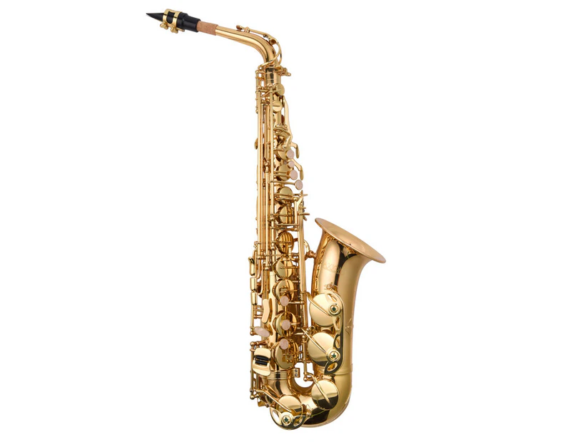 Axiom Beginners Alto Sax Outfit - School Band Saxophone