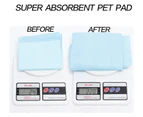 Puppy Pet Dog Indoor Cat Toilet Training Pads Absorbent Thin 60x60cm Blue - 400 Pcs