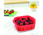 Tovolo Rinse And Store Berry Container