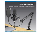 Audio Podcast/Broadcast Recording USB Condenser Cardioid Microphone/Filter/Clamp