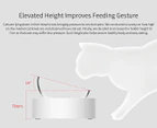 Petkit Fresh Nano 15 Degree Adjustable Double Pet Feeding Bowl - White