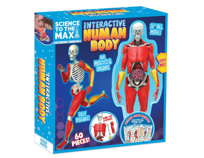 Be Amazing Science To The Max Interactive Human Body