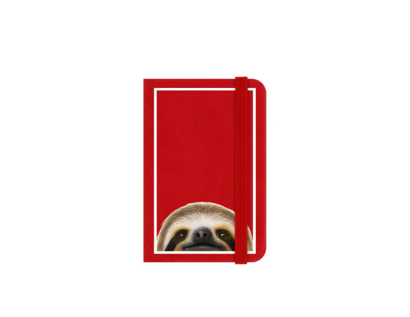 Inquisitive Creatures Sloth Notebook (Red/Brown/White) - GR2221