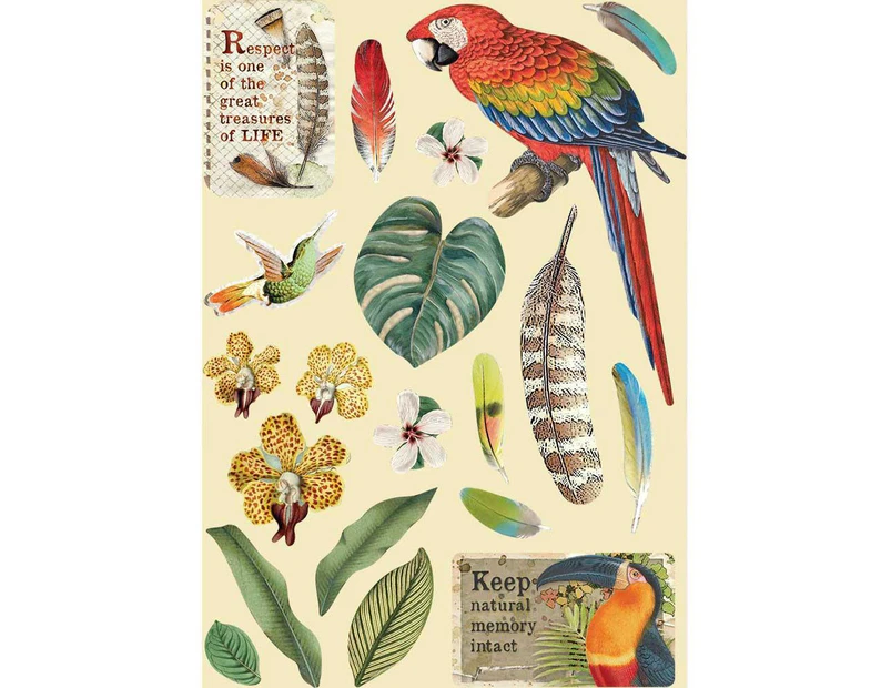 Stamperia Wooden Shapes A5 - Parrot, Amazonia