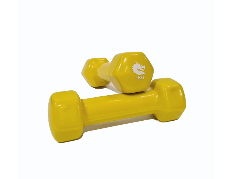 Morgan Vinyl Dumbbells [3Kg Pair]