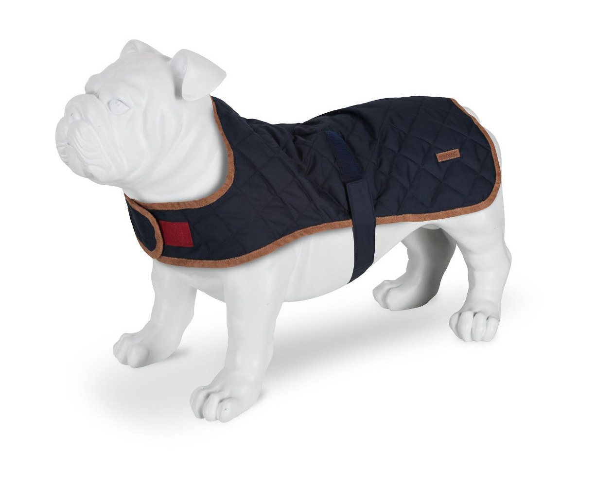 dog coat regatta