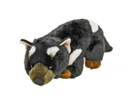 Rupert the Tasmanian Devil Plush Toy - Bocchetta