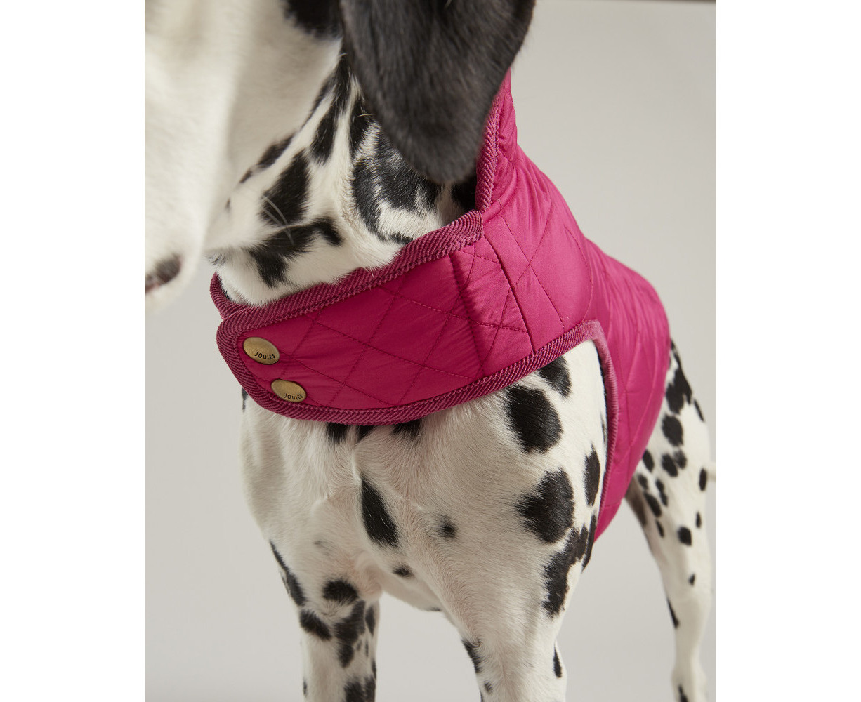 joules dalmatian coat