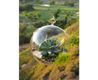 5 Pack - 12cm Large Hanging Clear Glass Ball Large Candle Succlent Terrarium Holder
