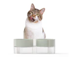 Pidan Elevated Dual Bowl for Cats