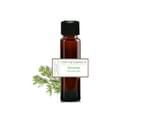 purelyBlack Mugwort Essential Oil 10mL - Pure & Natural Aromatherapy Oils 1