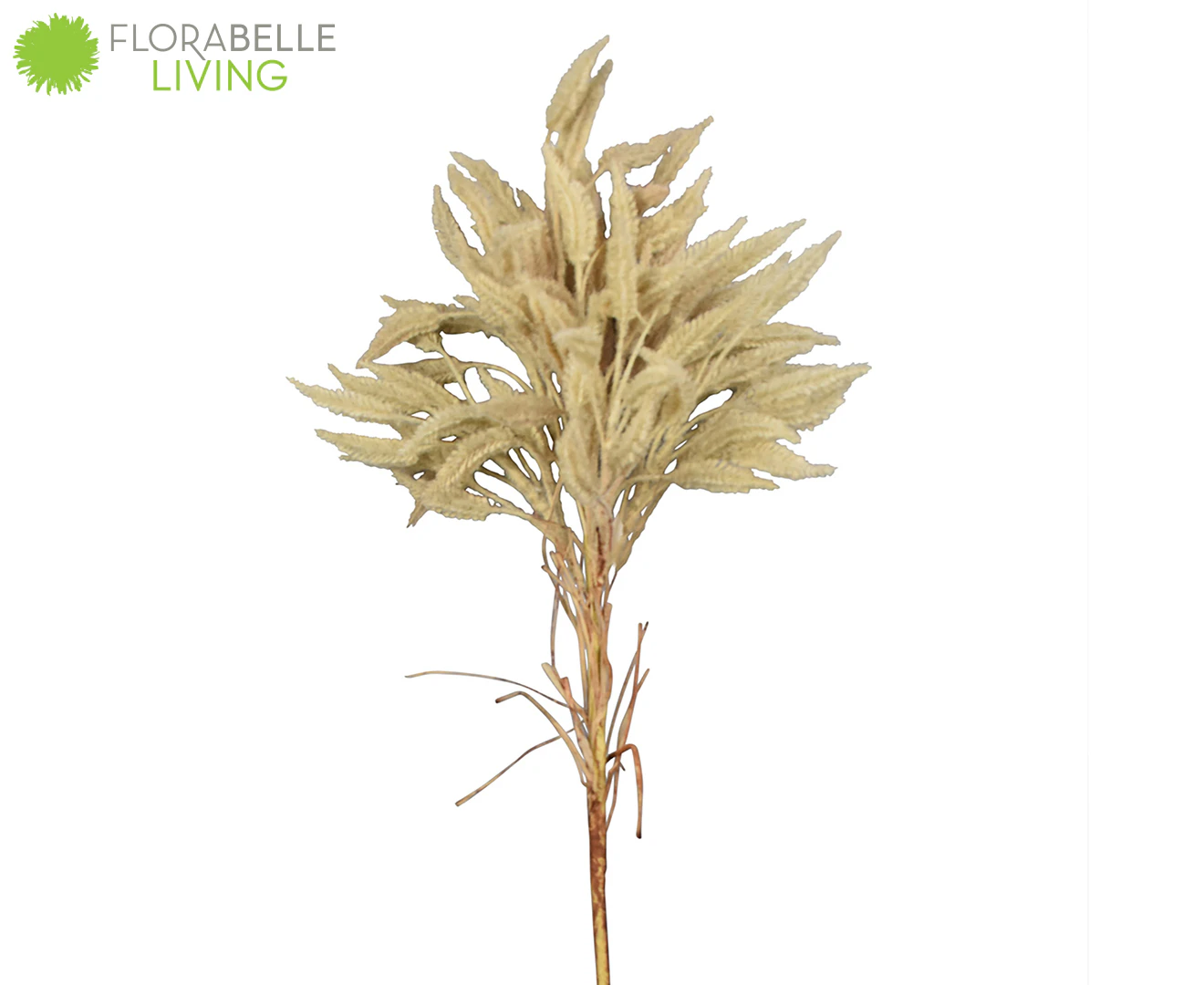 Florabelle 80cm Artificial Dried Wheat Grass Stem