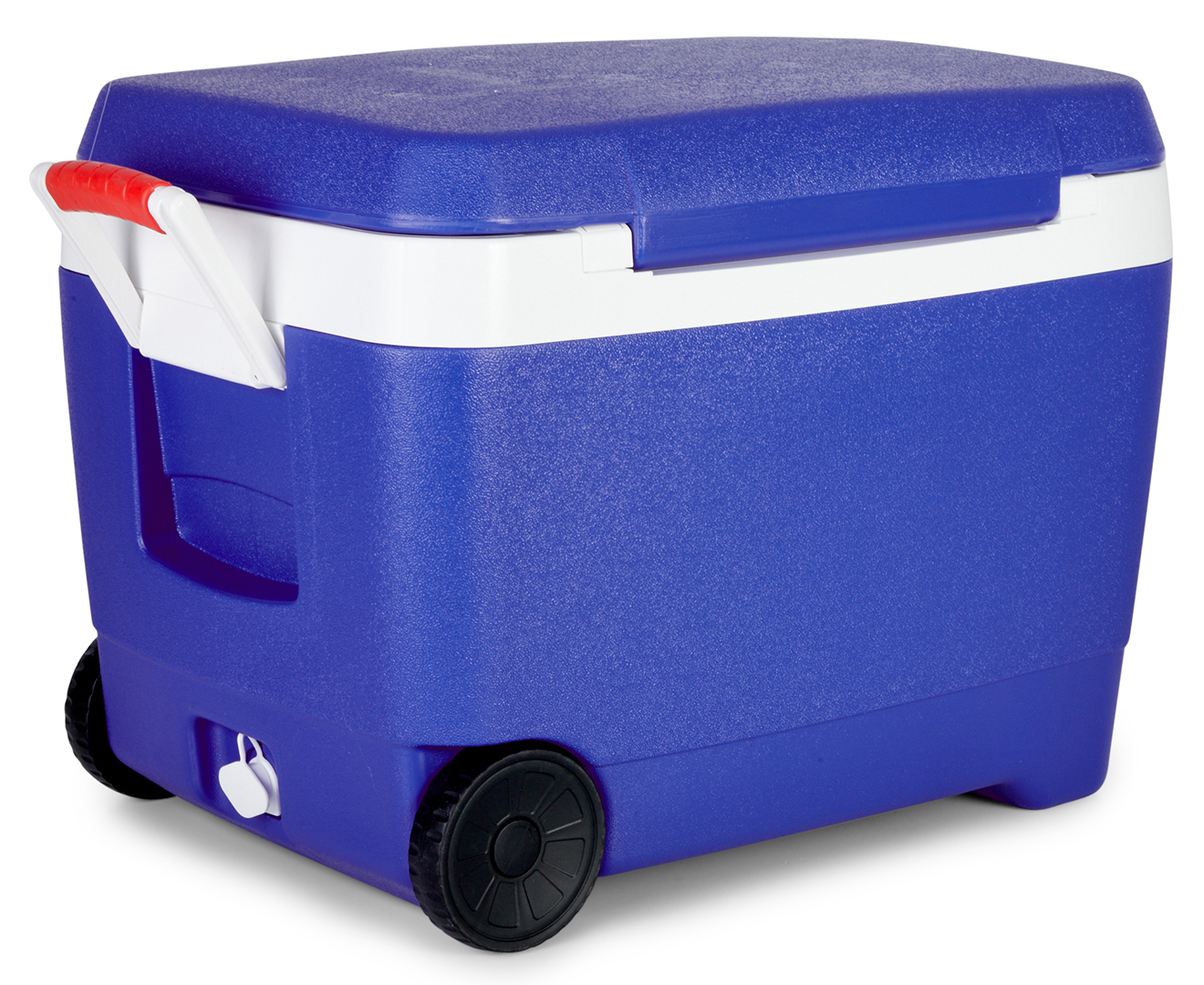 Willow 44 2024 litre esky