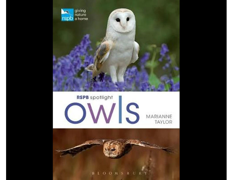 RSPB Spotlight Owls : RSPB Spotlight Owls