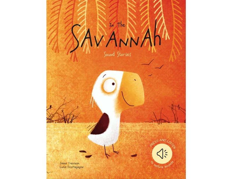 Sassi Books - Sound Book - Into the Savannah