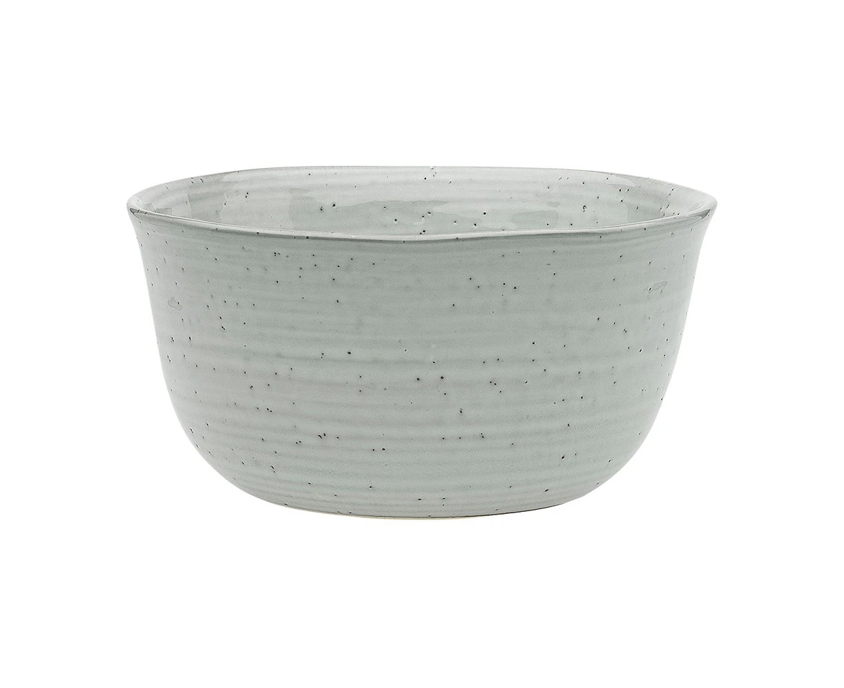 2 x Ecology 20cm Ottawa Laksa Bowl - Lichen