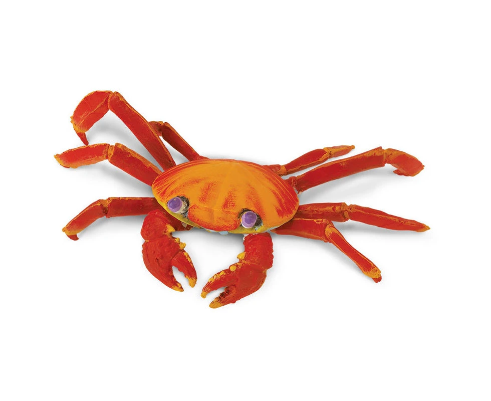 Safari Ltd Galapagos Sally Lightfoot Crab