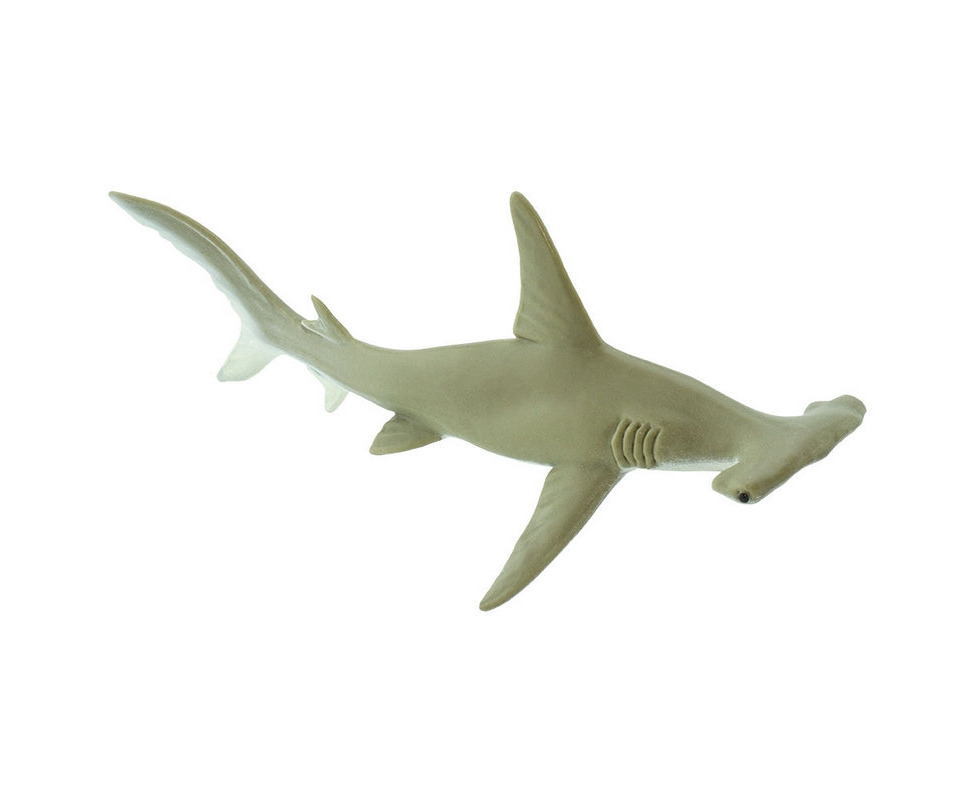 Hammerhead Shark 14835 WILD LIFE
